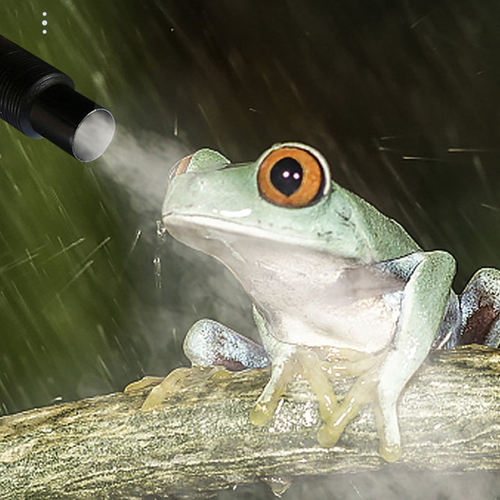 Luftfukter til reptiler