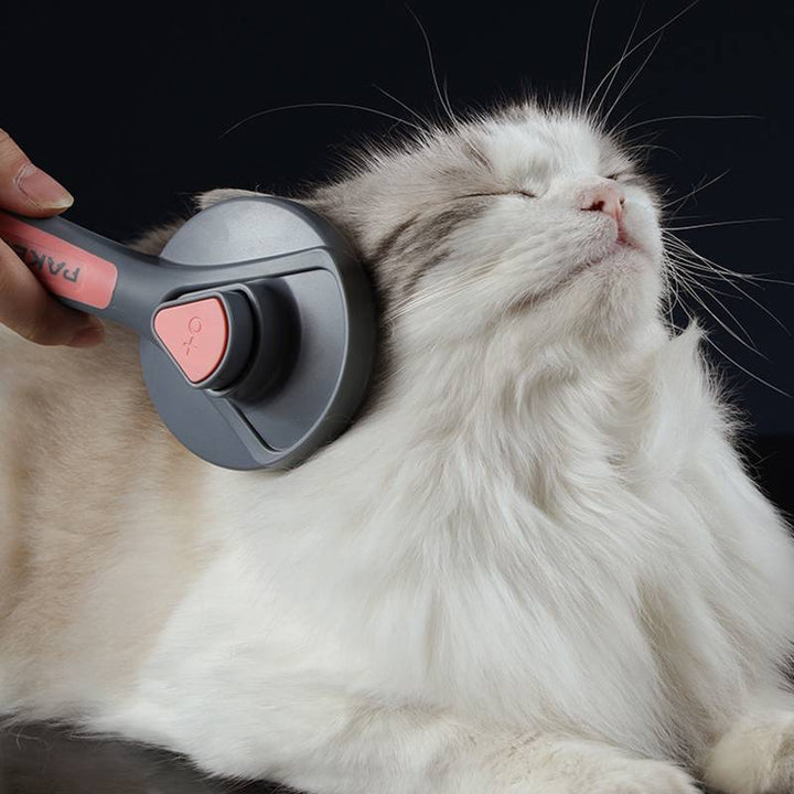 Børste til hund og katt